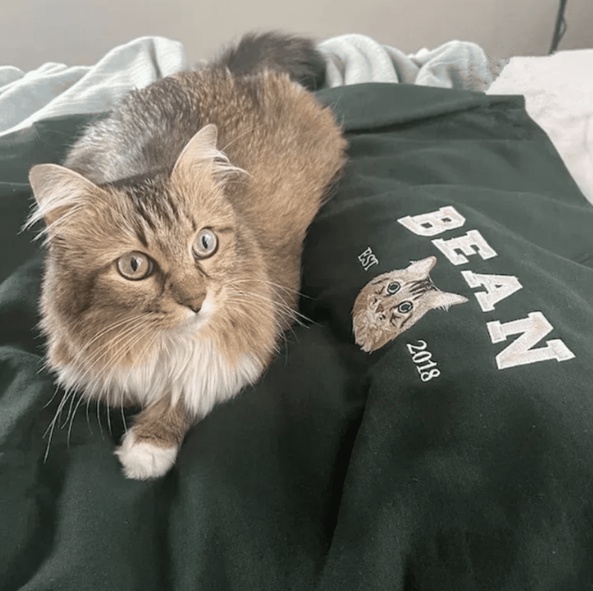 Cara de mascota bordada personalizada y nombre de mascota sudadera retrato de perro bordado cuello redondo regalo amante de las mascotas