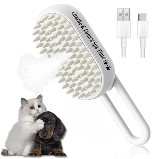 Customized Pet Steam Brush 3 in 1 Massaging Cleaning shedding hair Gift For Pet Lovers