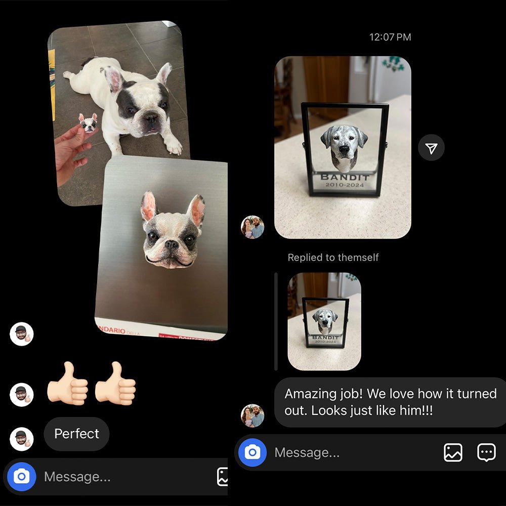 Cuchara para comida de gato personalizada con nombre, regalo para amantes de las mascotas