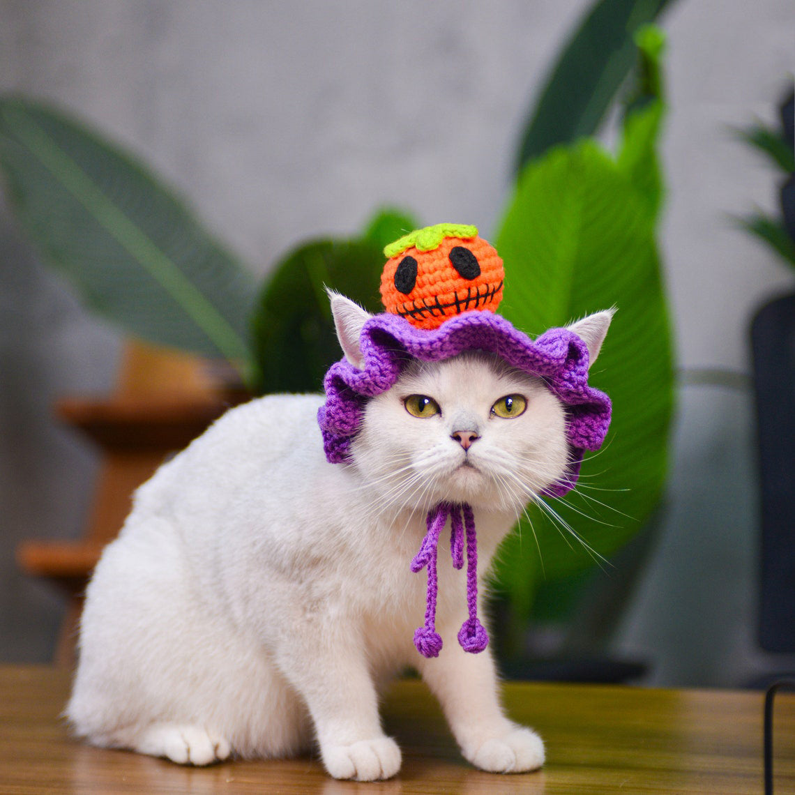 Crochet Pumpkin Pet Hat Halloween Pet Costume Gift for Pet Lovers