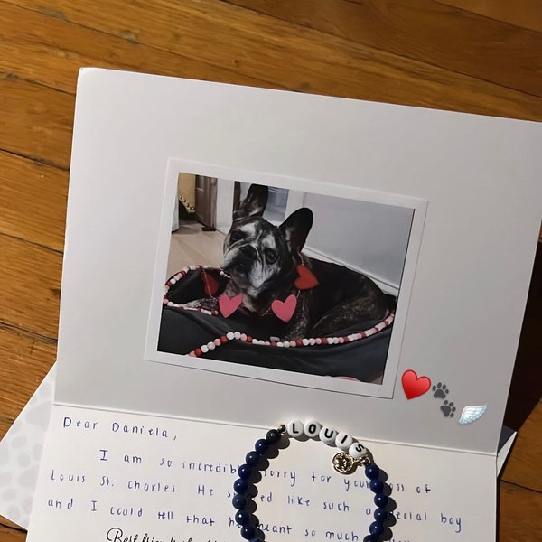 Personalisierte Katzenfutterschaufel mit Namen Geschenk für Tierliebhaber