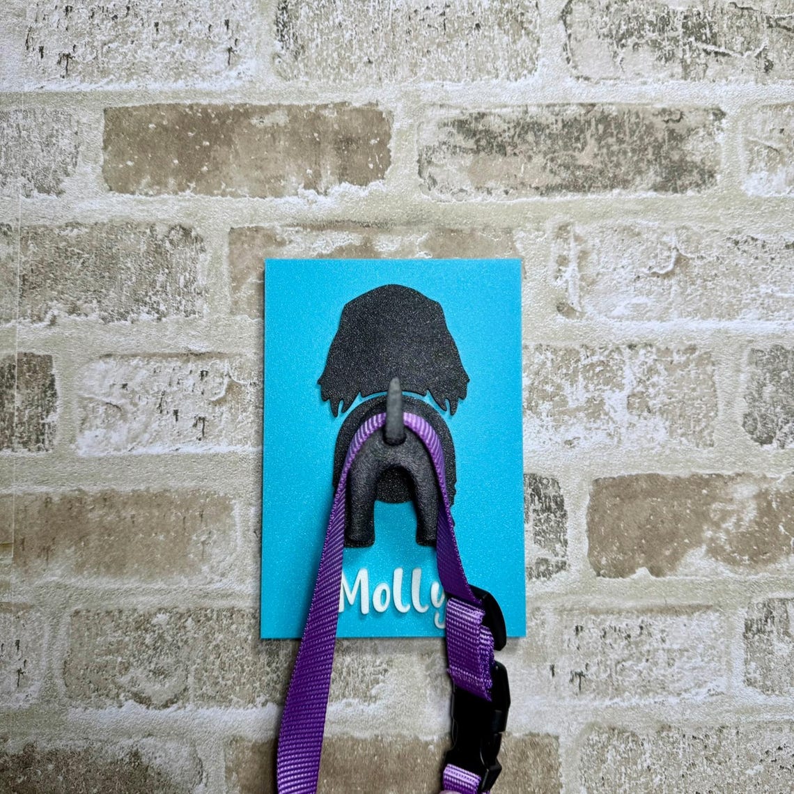 Personalized 3D Dog Leash Sign Holder Custom Dog Name Leash Holder Pet Supplies Gift for Pet Dog Lover