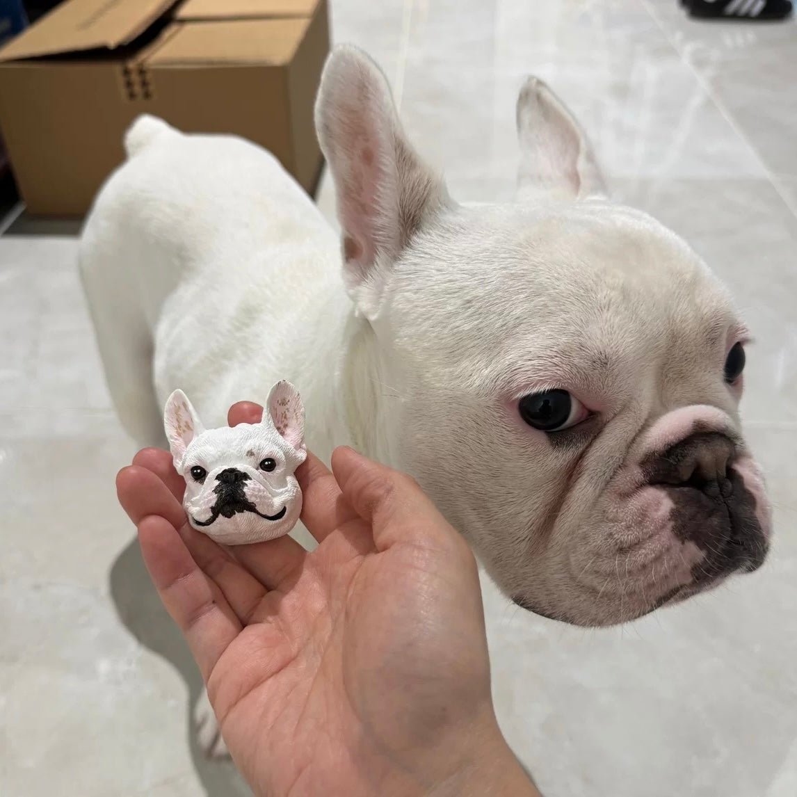 Cuchara para comida de gato personalizada con nombre, regalo para amantes de las mascotas
