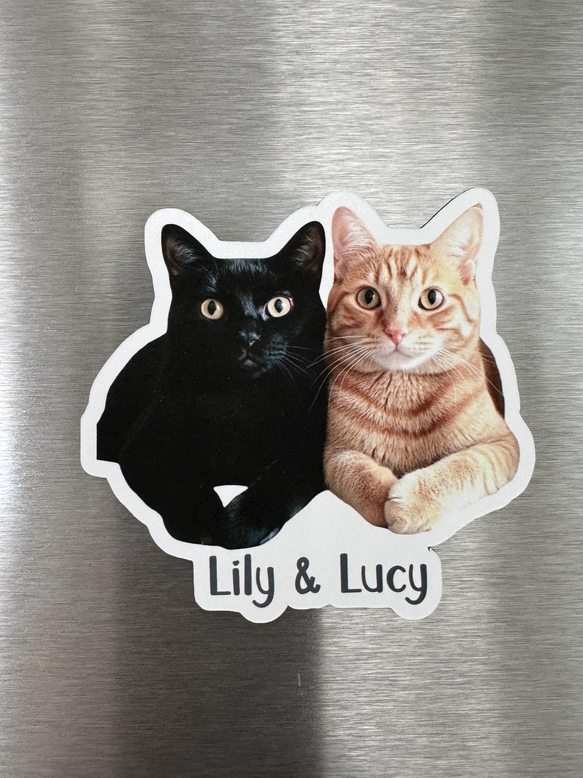 Personalized Pet Photo Fridge Magnet | Custom Dog & Cat Portrait Gift for Home Decor