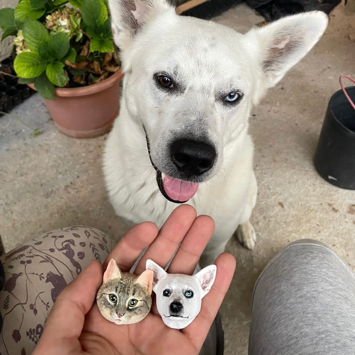 Cuchara para comida de gato personalizada con nombre, regalo para amantes de las mascotas