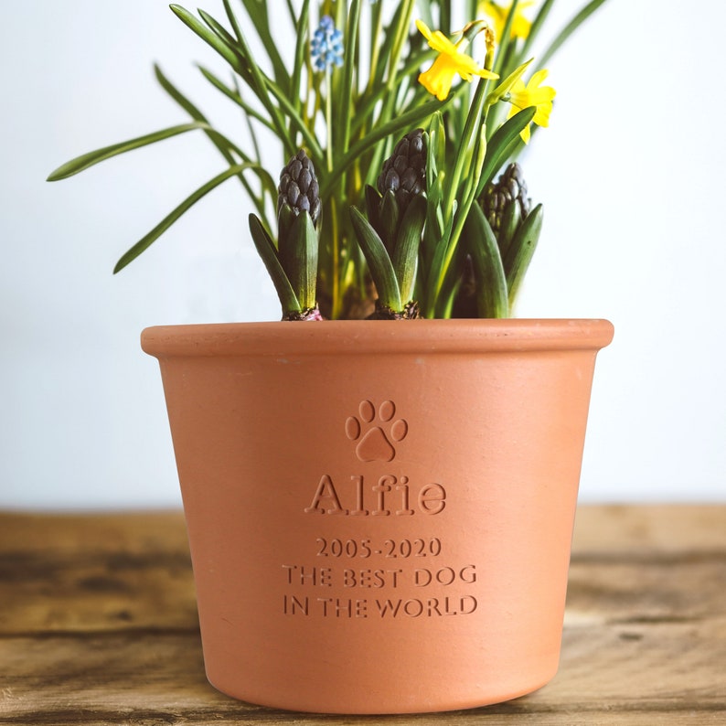 Personalised Engraved Pet Memorial Plant Pot, Custom Made Gift, Perfect Bespoke Garden Memorial for Beloved dogs, cats and all pets