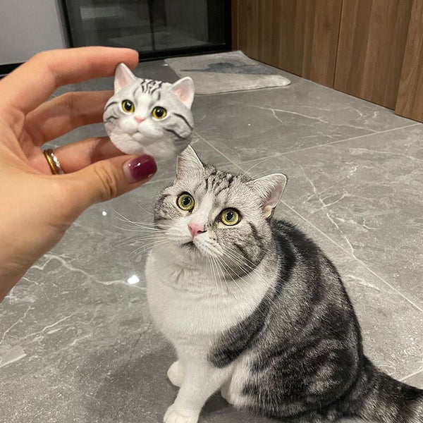 Cuchara para comida de gato personalizada con nombre, regalo para amantes de las mascotas
