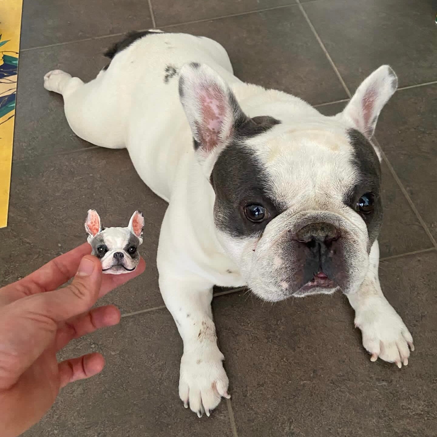 Cuchara para comida de gato personalizada con nombre, regalo para amantes de las mascotas