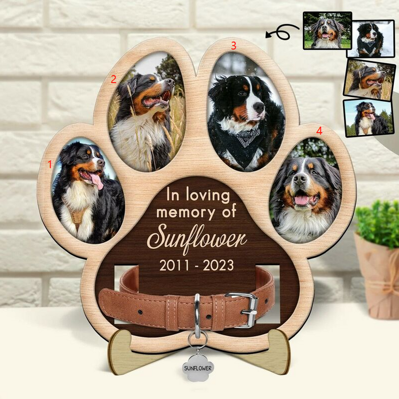 Custom Pet Memorial Collar Frame | Photo & Name Keepsake | Dog Cat Loss Sympathy Gift