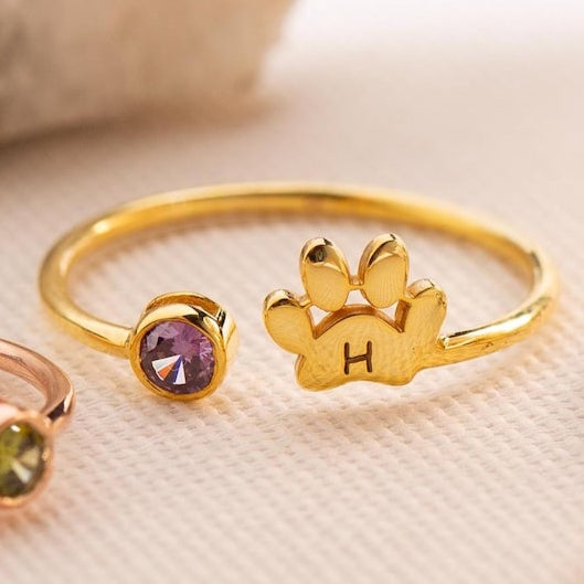 Custom Engraved Initial Paw Birthstone Ring Christmas Pet Memorial Gift for Dog Cat Mom