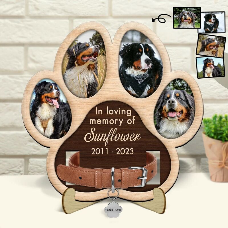 Custom Pet Memorial Collar Frame | Photo & Name Keepsake | Dog Cat Loss Sympathy Gift