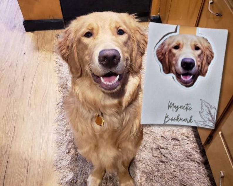 Custom Pet Portrait Magnetic Bookmark – Personalized Back To School Gift for Dog & Cat Lovers