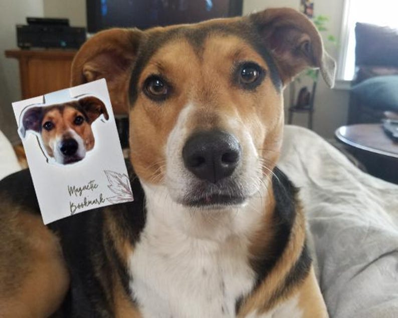 Custom Pet Portrait Magnetic Bookmark – Personalized Back To School Gift for Dog & Cat Lovers