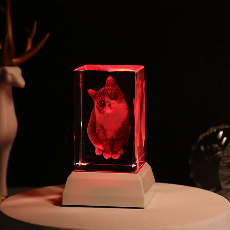 Personalized Pet Photo 3D Crystal Light Pet Memorial Gift for Pet Lovers