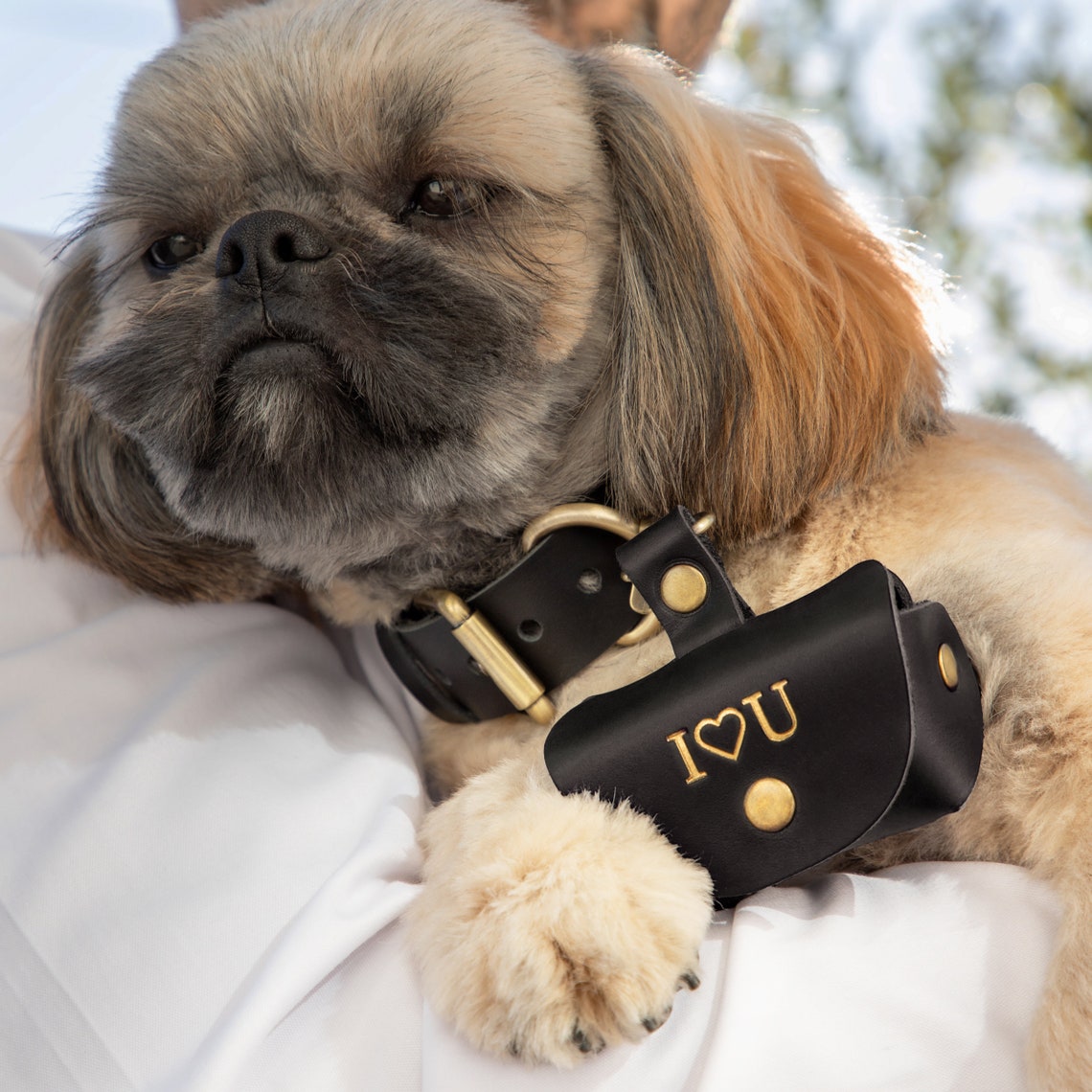 Custom Pet Ring Bearer Pouch | Personalized Wedding Ring Box for Dogs & Cats