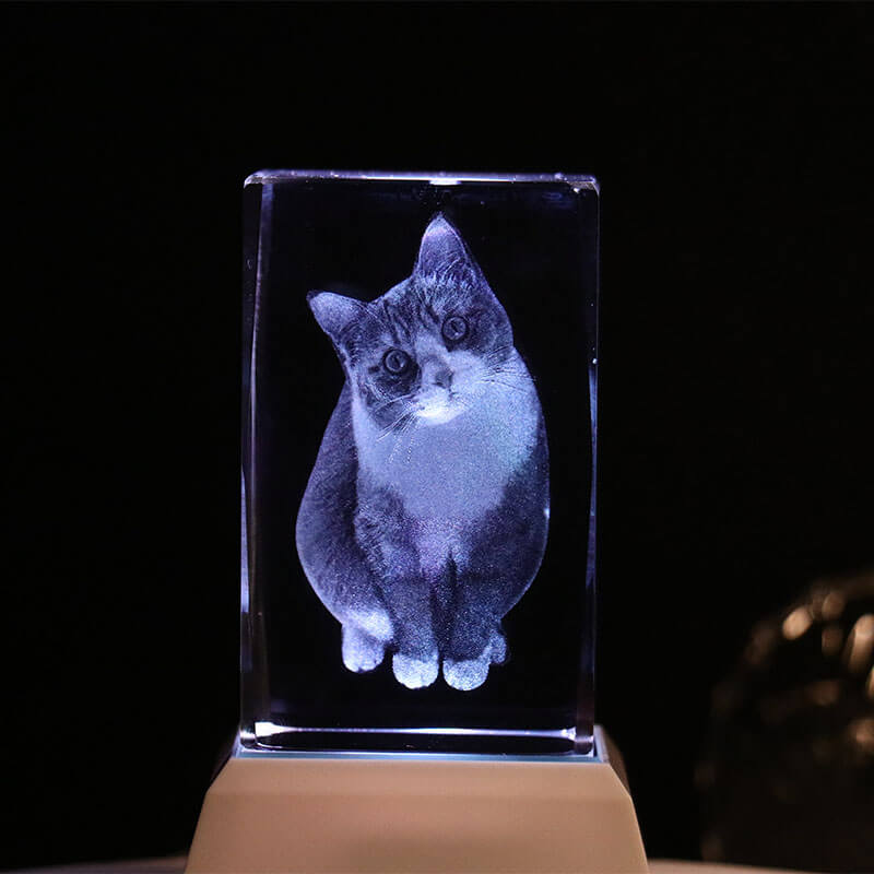 Personalized Pet Photo 3D Crystal Light Pet Memorial Gift for Pet Lovers