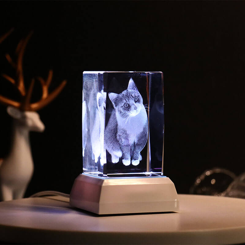 Personalized Pet Photo 3D Crystal Light Pet Memorial Gift for Pet Lovers