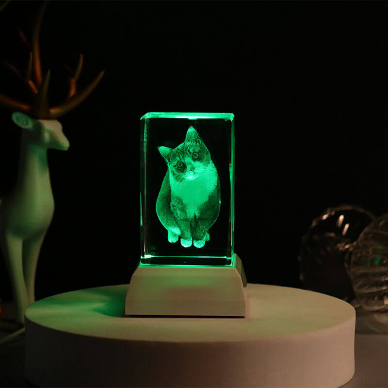 Personalized Pet Photo 3D Crystal Light Pet Memorial Gift for Pet Lovers