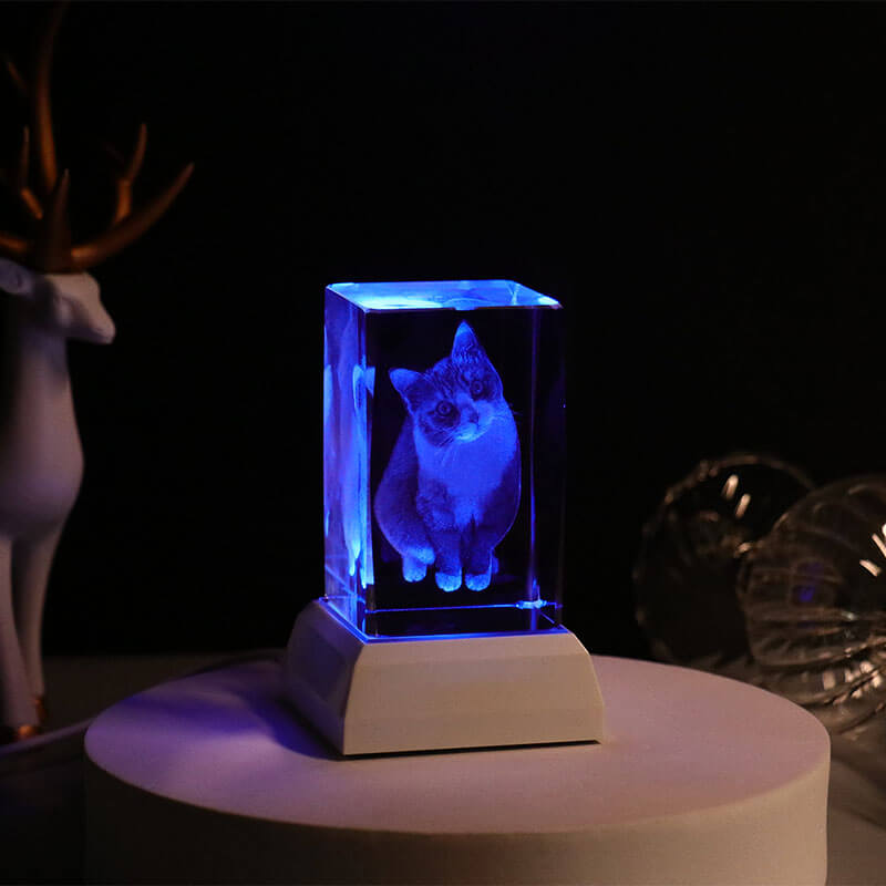 Personalized Pet Photo 3D Crystal Light Pet Memorial Gift for Pet Lovers