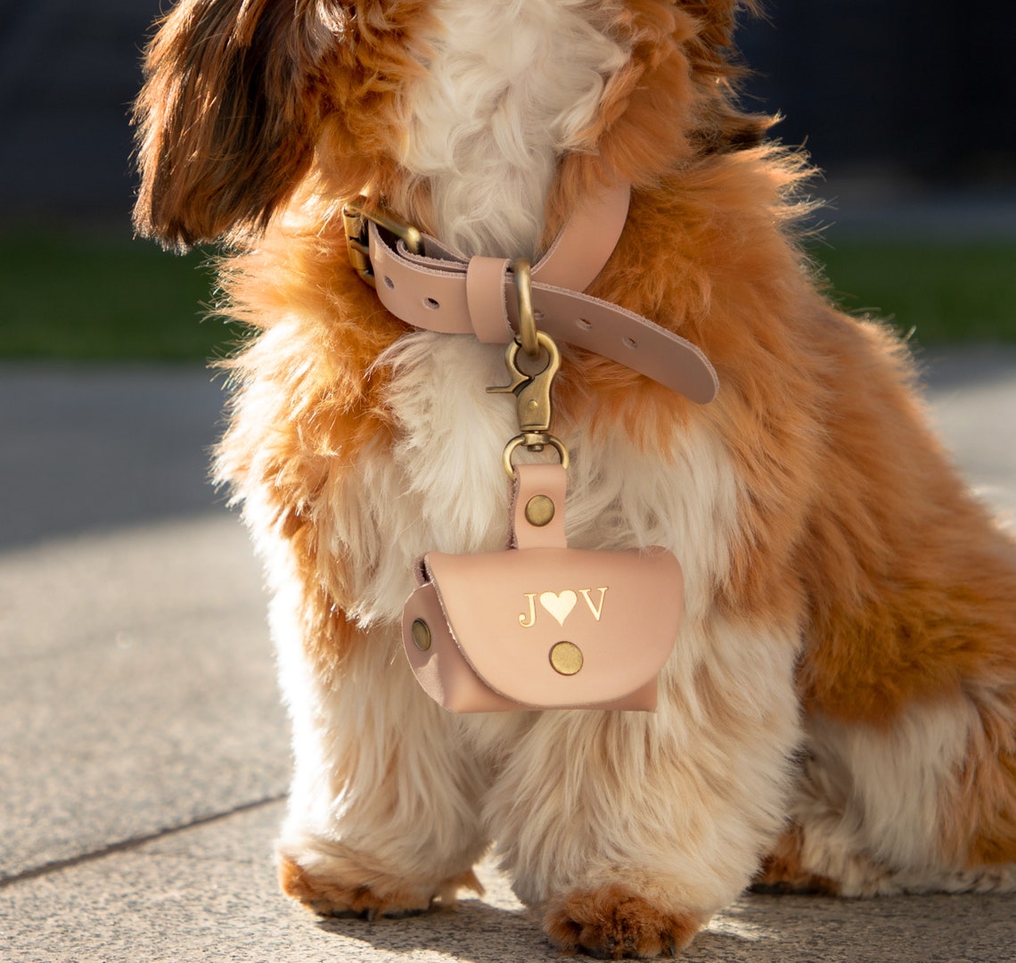 Custom Pet Ring Bearer Pouch | Personalized Wedding Ring Box for Dogs & Cats