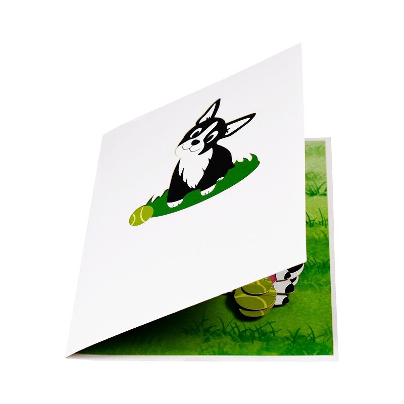 Tarjeta de regalo emergente para mascotas en 3D - 4