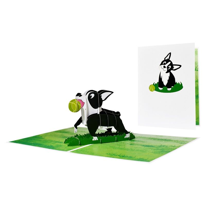 Tarjeta de regalo emergente para mascotas en 3D - 4