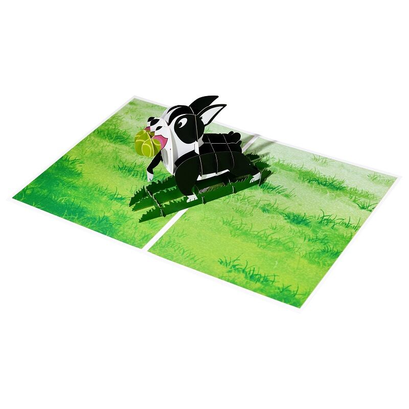 Tarjeta de regalo emergente para mascotas en 3D - 4