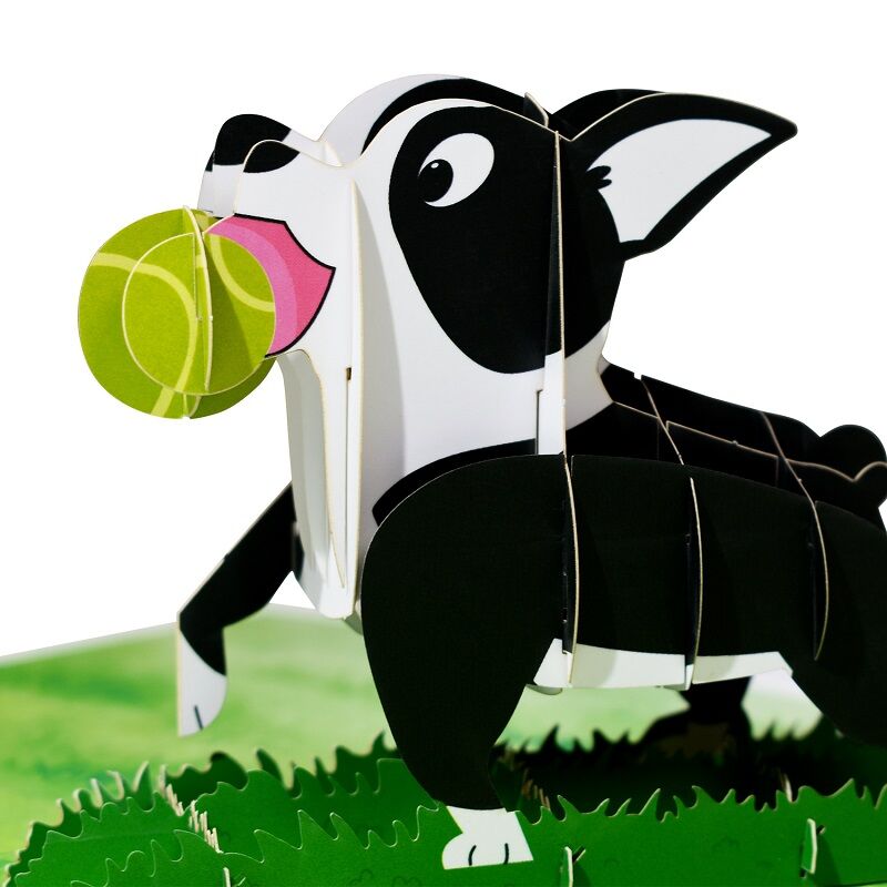 Tarjeta de regalo emergente para mascotas en 3D - 4