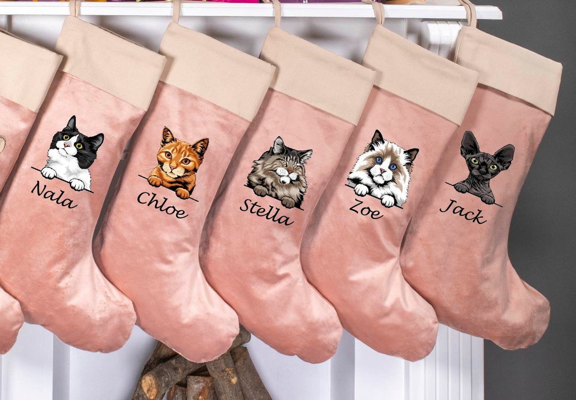 Personalized Embroidered Pet Cat Christmas Stocking with Name Gifts for Cat Owners Christmas Gift for Pet Lovers