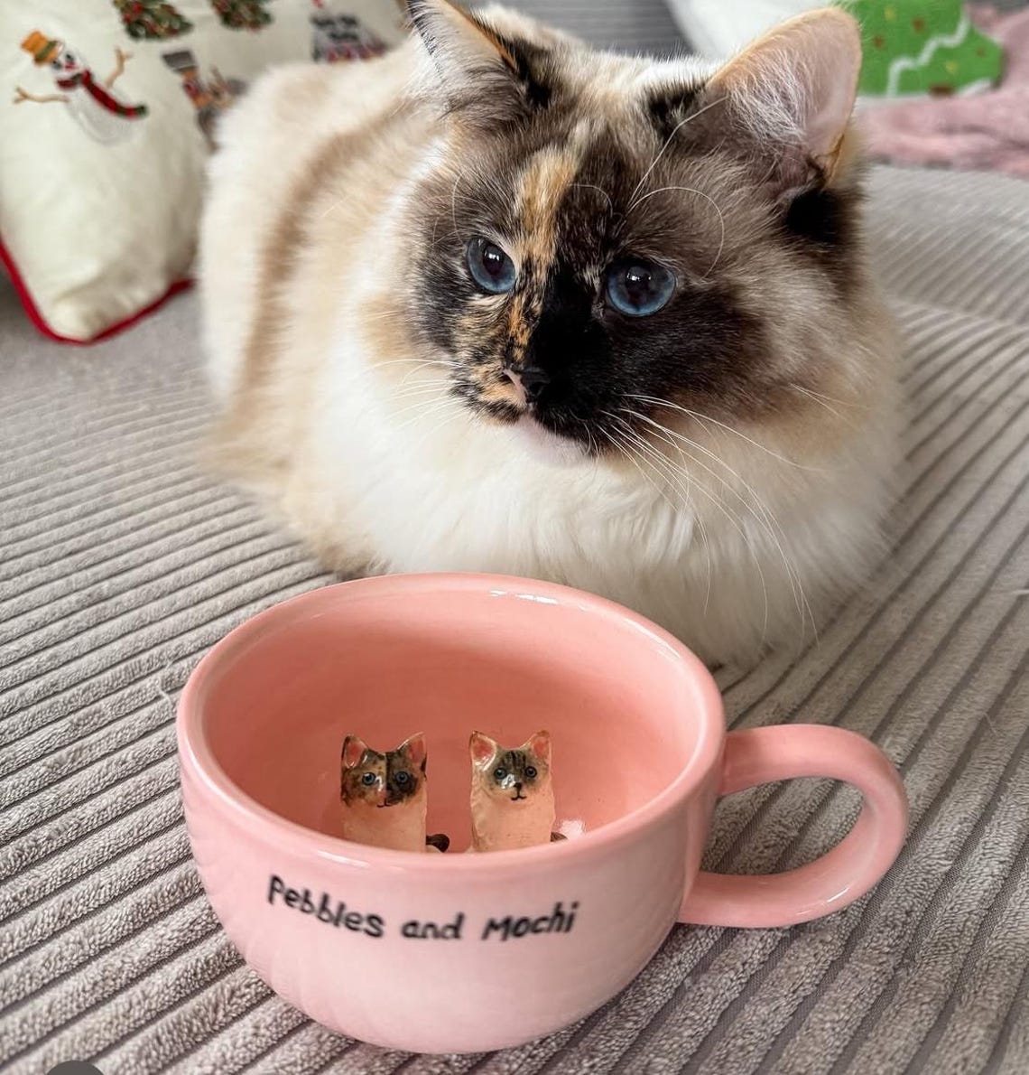 Custom Pet Figurine Mug Christmas Keepsake Gift for Dog Cat Lovers