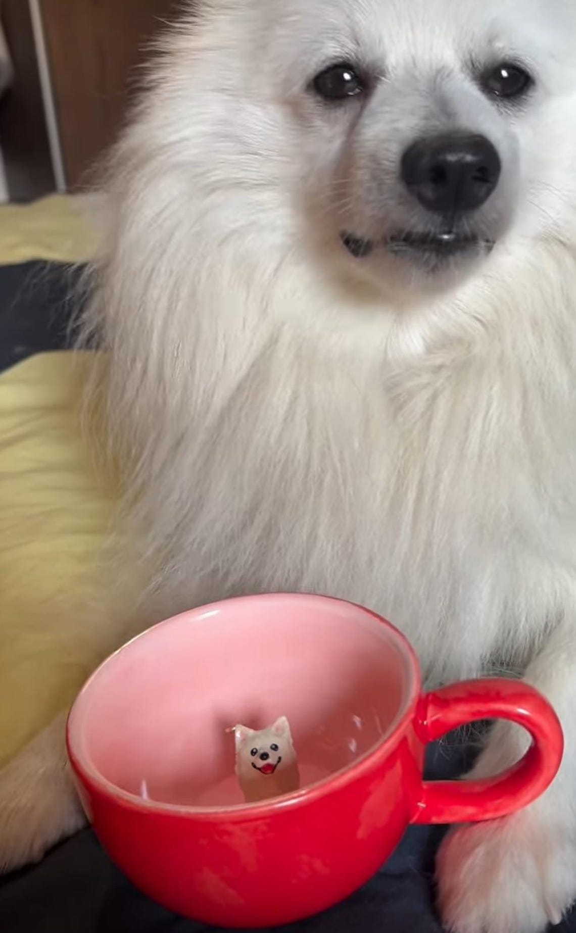 Custom Pet Figurine Mug Christmas Keepsake Gift for Dog Cat Lovers