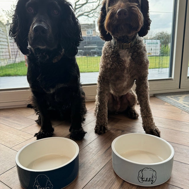 Personalisierter Hundenapf aus Keramik mit Hundeohr und Namen als Geschenk für Tierliebhaber