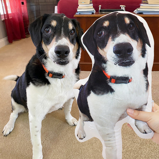 Custom Pet Shaped Pillow Christmas Gift Pet Memorial Gift for Pet Lovers