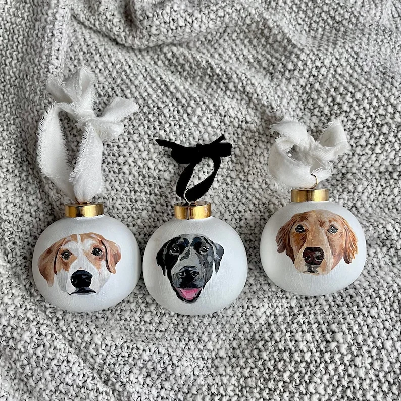 Personalisiertes besticktes Haustiergesicht und Haustiername Sweatshirt Hundeportrait bestickt Crewneck Haustierliebhaber Geschenk