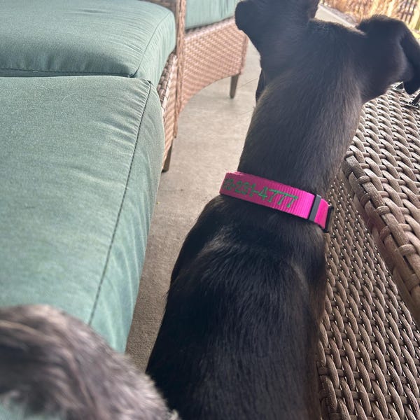 Cuchara para comida con huella de pata de perro personalizada y nombre, regalo para amantes de los perros