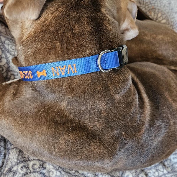 Cuchara para comida con huella de pata de perro personalizada y nombre, regalo para amantes de los perros