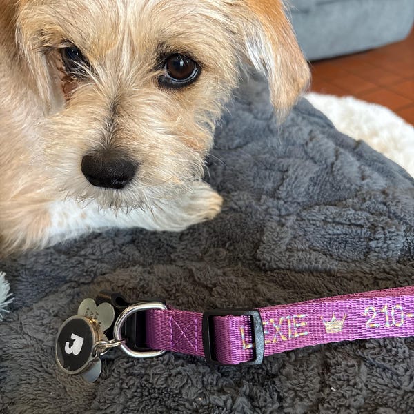 Cuchara para comida con huella de pata de perro personalizada y nombre, regalo para amantes de los perros