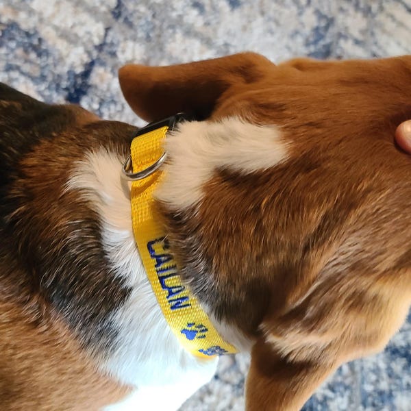 Cuchara para comida con huella de pata de perro personalizada y nombre, regalo para amantes de los perros