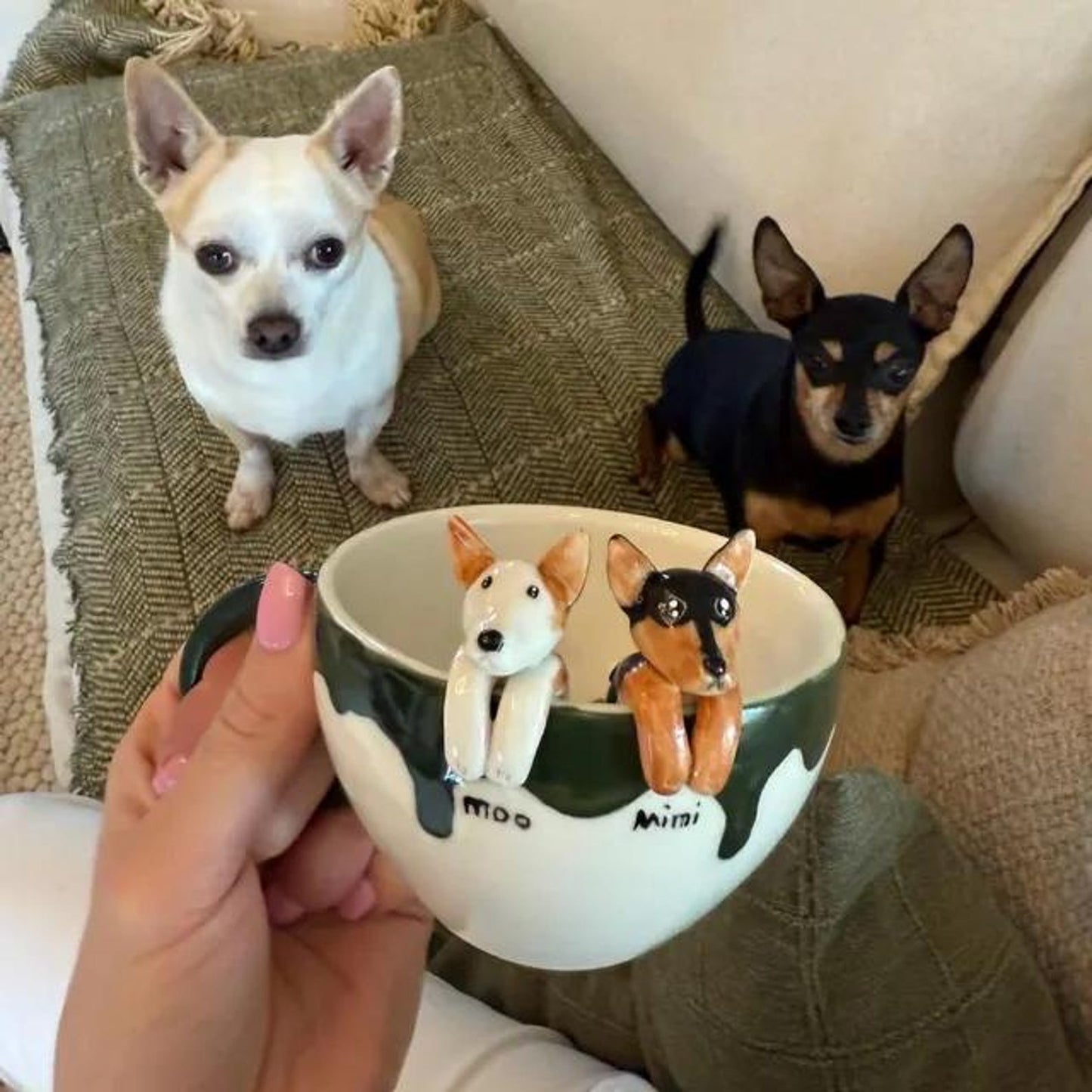 Cuchara para comida de gato personalizada con nombre, regalo para amantes de las mascotas