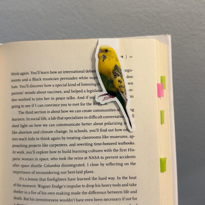 Custom Pet Portrait Magnetic Bookmark – Personalized Back To School Gift for Dog & Cat Lovers