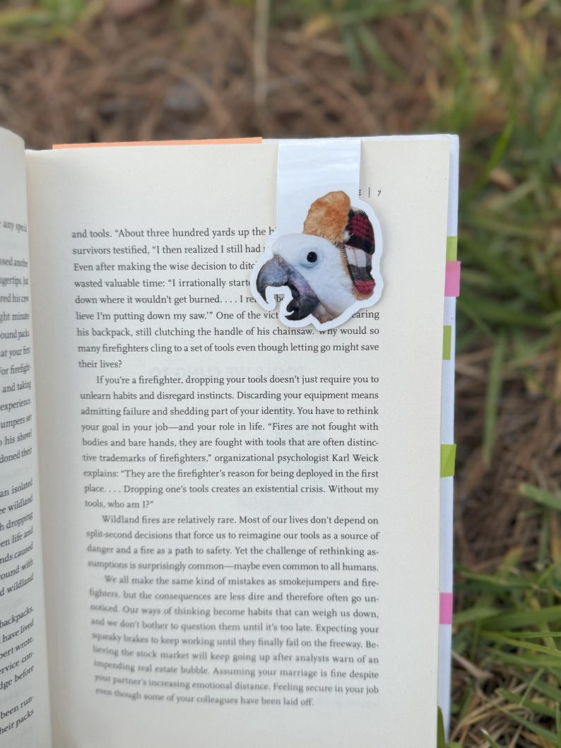 Custom Pet Portrait Magnetic Bookmark – Personalized Back To School Gift for Dog & Cat Lovers