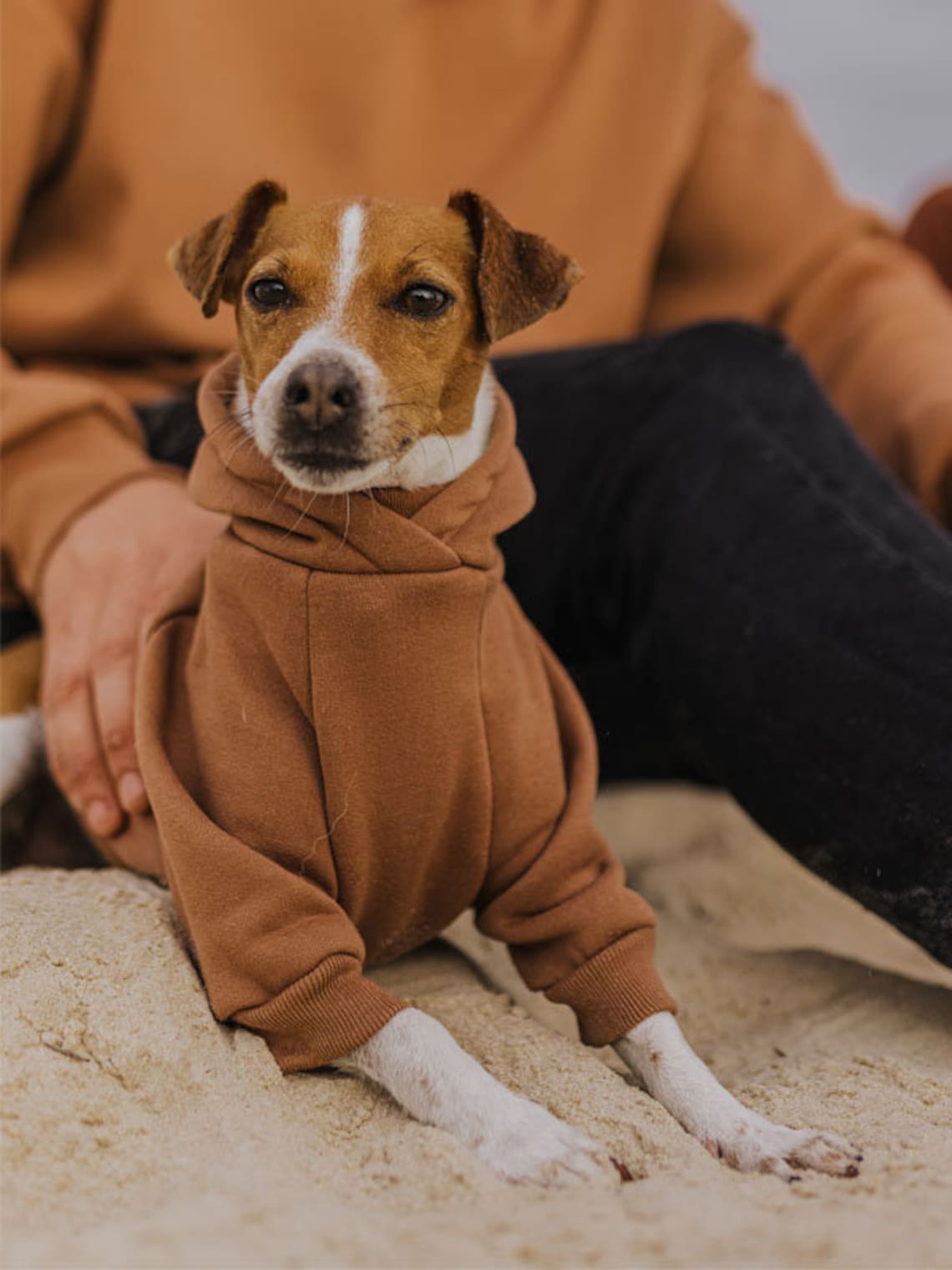 Personalisiertes besticktes Haustiergesicht und Haustiername Sweatshirt Hundeportrait bestickt Crewneck Haustierliebhaber Geschenk