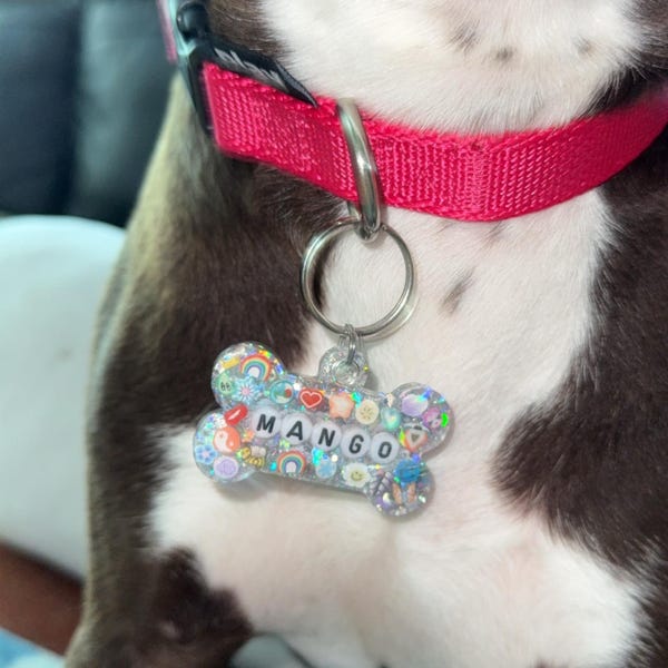 Personalized Resin Pet ID Tag | Custom Dog & Cat Name Bead Tag | Pet Owner Gift