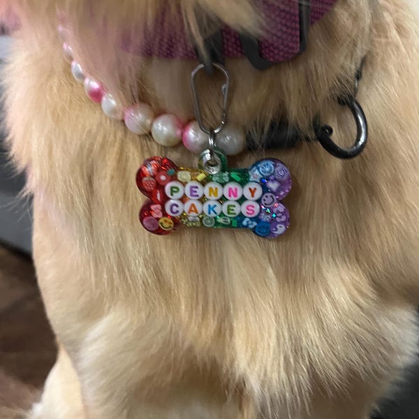 Personalized Resin Pet ID Tag | Custom Dog & Cat Name Bead Tag | Pet Owner Gift