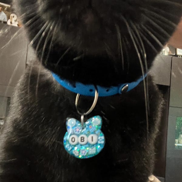 Personalized Resin Pet ID Tag | Custom Dog & Cat Name Bead Tag | Pet Owner Gift
