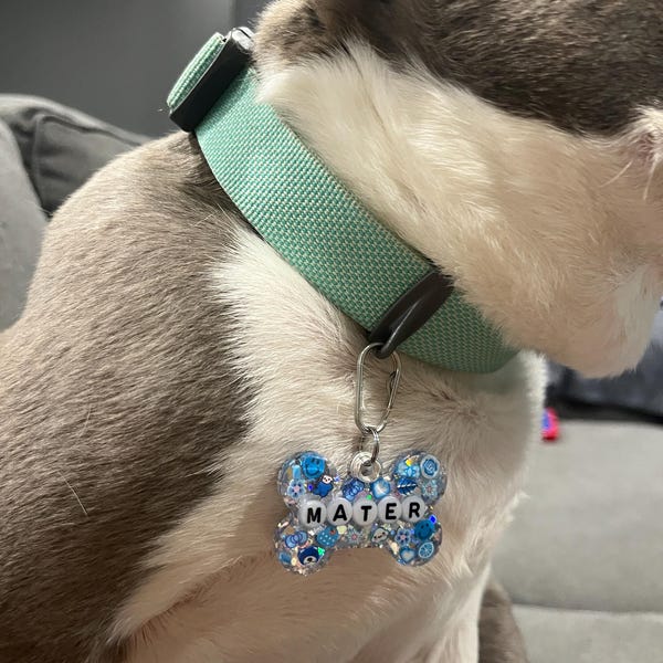 Personalized Resin Pet ID Tag | Custom Dog & Cat Name Bead Tag | Pet Owner Gift