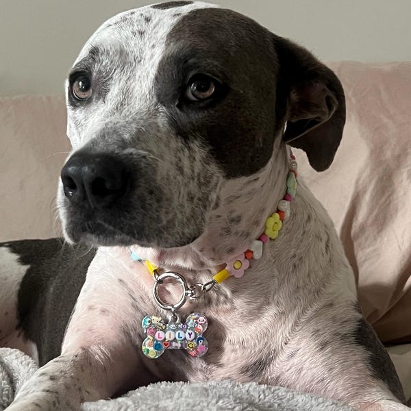 Personalized Resin Pet ID Tag | Custom Dog & Cat Name Bead Tag | Pet Owner Gift