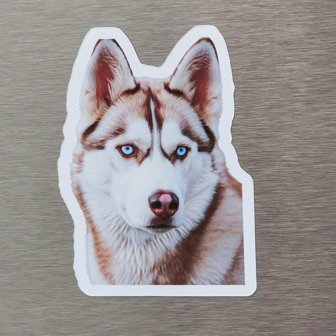Personalized Pet Photo Fridge Magnet | Custom Dog & Cat Portrait Gift for Home Decor