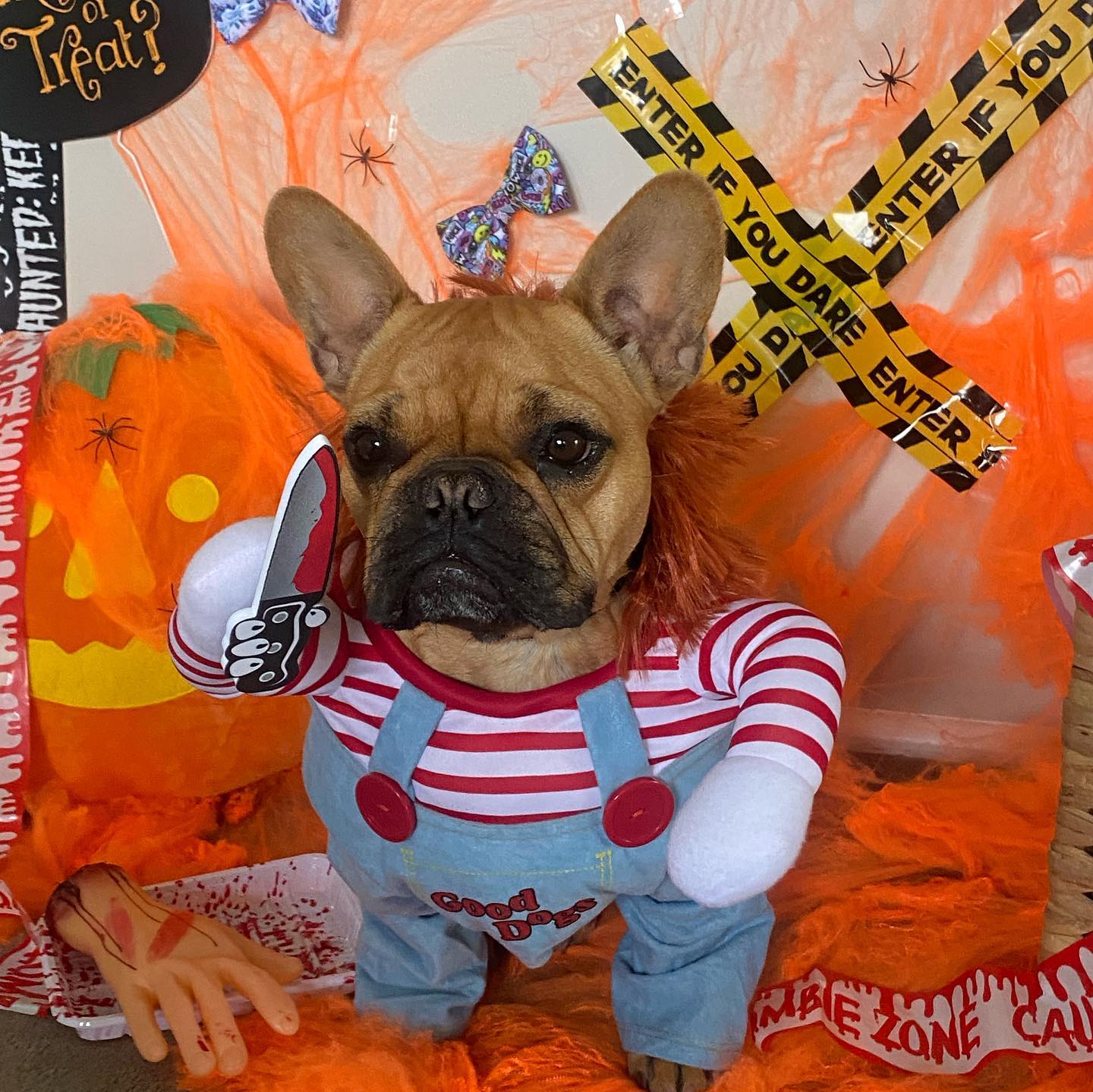 Deadly Doll Halloween Pet Costume For Dog Cat