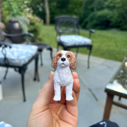 Cuchara para comida de gato personalizada con nombre, regalo para amantes de las mascotas